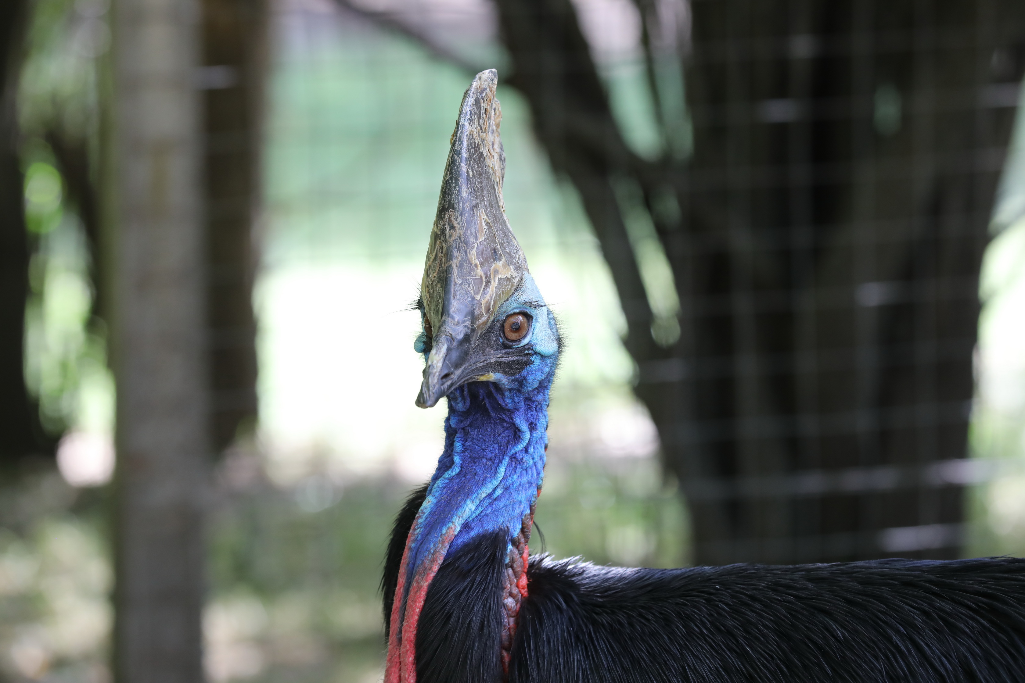 2019 11 22 16 32 02 Canon EOS 5D Mark IV 0032